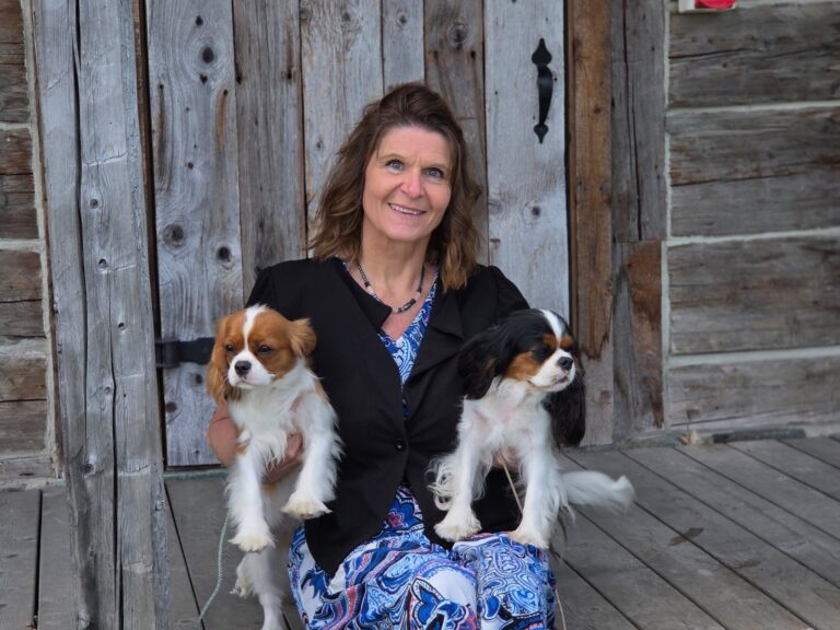 LES ORIGINES DU CAVALIER KING CHARLES