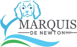 Les Marquis de Newton